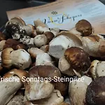 Konukevi Vosse-schepers Rhede (Lower-Saxony)