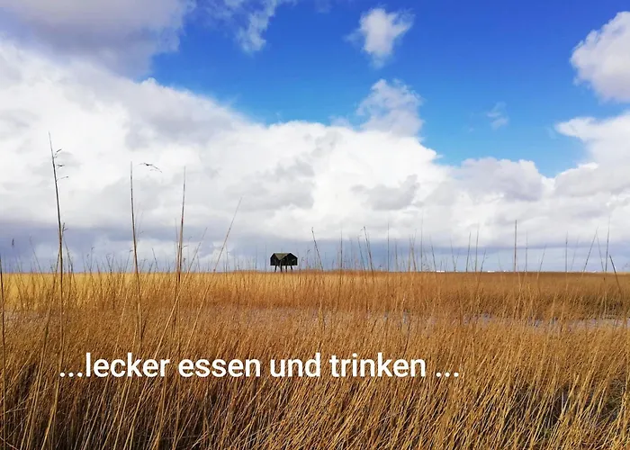 Vosse-schepers Gæstehus 3*
