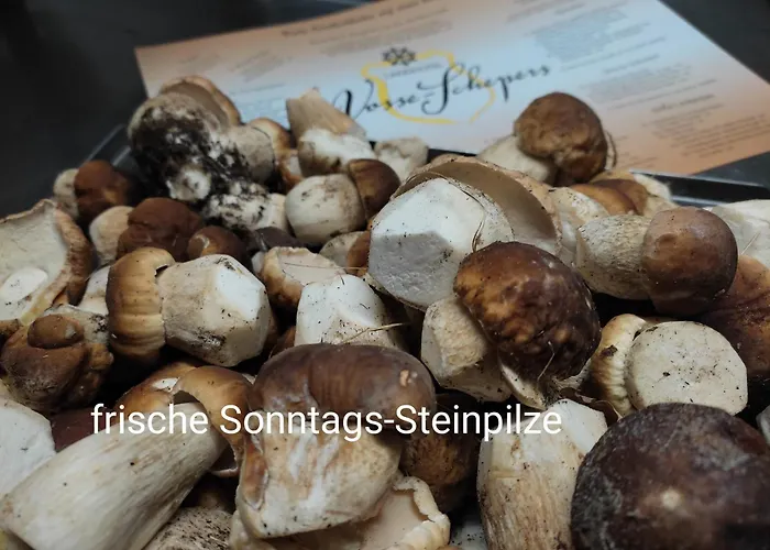Gæstehus Vosse-schepers Rhede (Lower-Saxony)